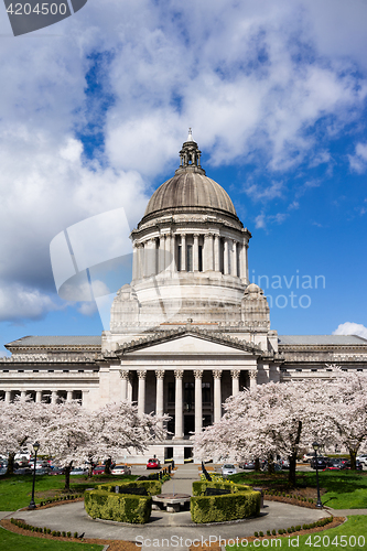 Image of Washington State Capital Building Olympia Springtime Cherry Blos