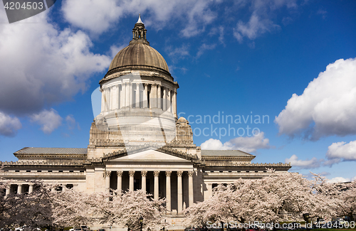 Image of Washington State Capital Building Olympia Springtime Cherry Blos