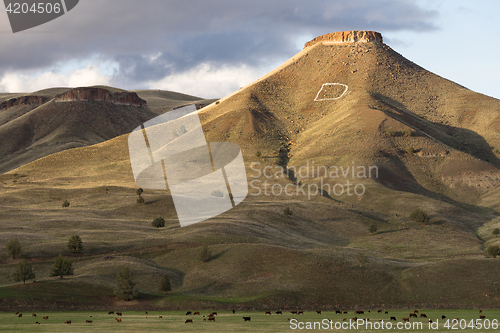 Image of D for Dayville Grants County Route 26 Flat Top Ridge Oregon