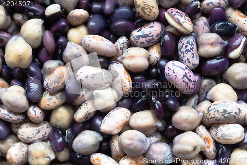 Image of Beans Soaking Whole Food Garbonzo Bean Black Anasazi 