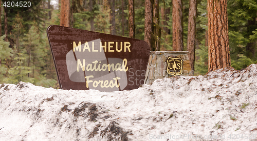 Image of Makheaur National Forest Entrance Sign Oregon Wilderness