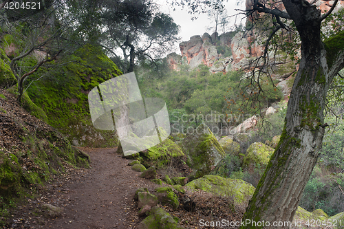 Image of Winter Time Pinnacles National Park Forest Trail California USA