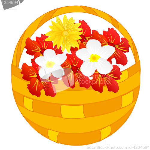 Image of Flower in basket