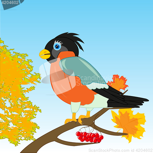 Image of Bullfinch on branch