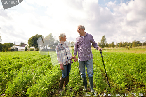 Image of happy senior couple at summer farm