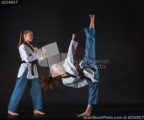 Image of The karate girl with black belt