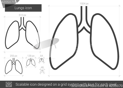 Image of Lungs line icon.