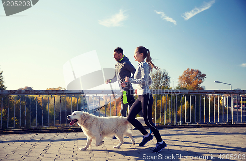 Image of happy couple with dog running outdoors