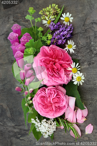 Image of Flowers for Natural Herbal Medicine