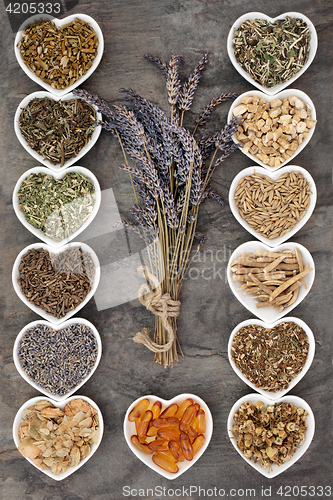 Image of Medicinal Herbs for Anxiety Disorders