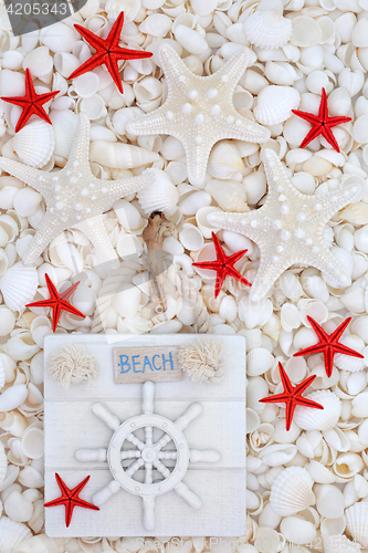 Image of Beach Sign with Starfish and Seashells