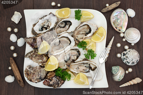 Image of Fresh Oyster Platter  