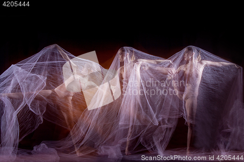 Image of The sensual and emotional dance of beautiful ballerina