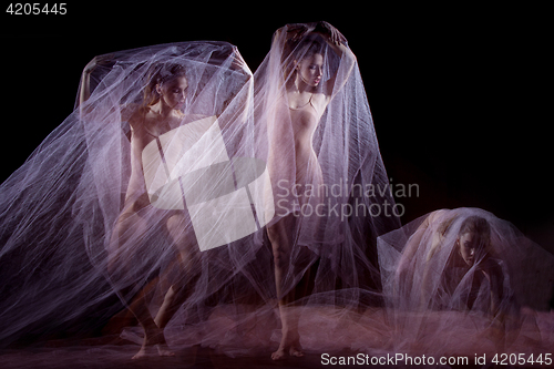 Image of The sensual and emotional dance of beautiful ballerina