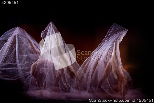 Image of The sensual and emotional dance of beautiful ballerina