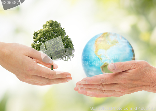 Image of hands holding green oak tree and earth planet