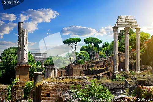 Image of Ruined Roman Forum