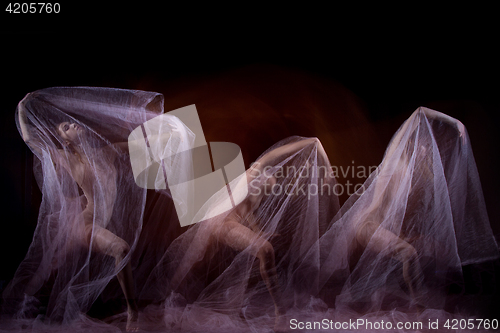 Image of The sensual and emotional dance of beautiful ballerina