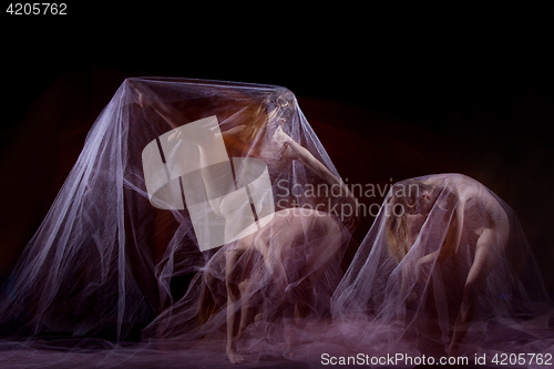 Image of The sensual and emotional dance of beautiful ballerina