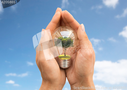 Image of hands holding light bulb with tree inside over sky