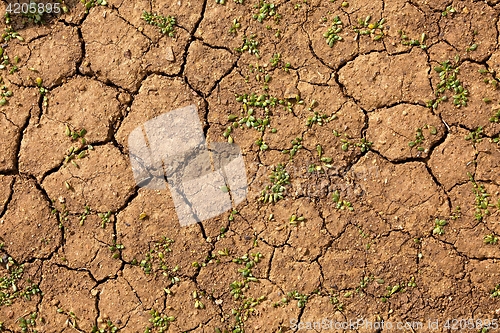 Image of Dry Soil Texture