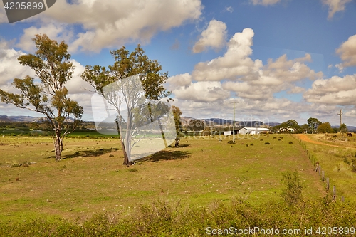 Image of Fields of Australian wild landscape