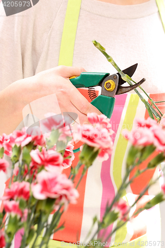 Image of Laying flowerscourse of floristic. Cutting the flower stems. Trim the stems of flowers