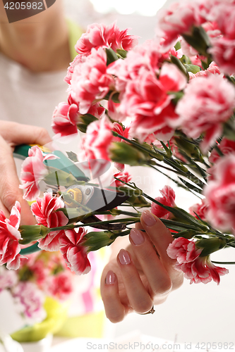 Image of Pink, cutting flowers with pruning shears