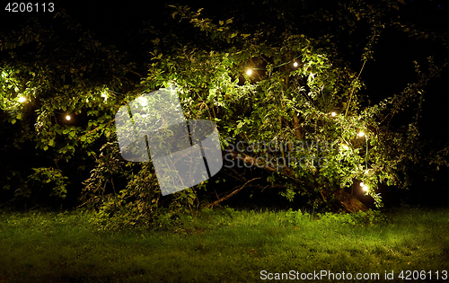 Image of tree with garland lights at night summer garden