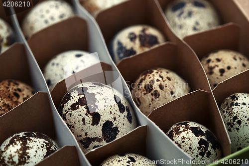 Image of Carton box with quail eggs