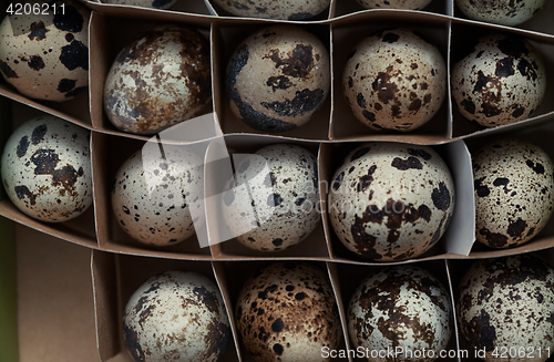 Image of Carton box with quail eggs