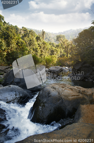 Image of Indian jungle with shallow river between stones