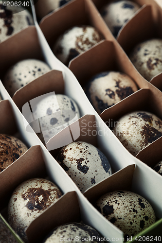 Image of Carton box with quail eggs