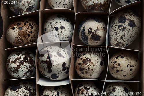 Image of Carton box with quail eggs