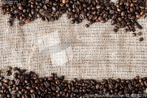 Image of the coffee grains