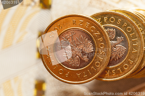 Image of Polish money, close-up