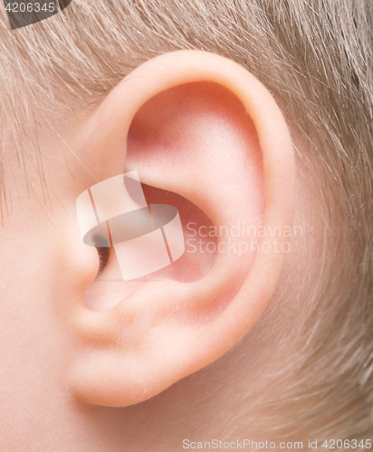 Image of baby ear