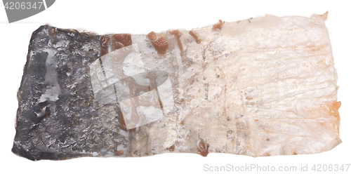 Image of fish skin isolated