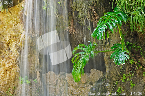 Image of Cave, waterfall and aquatic plant in Parque Genoves, Cadiz, Andalusia, Spain