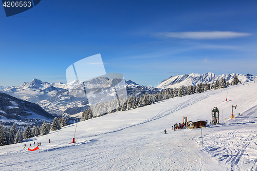 Image of High Altitude Ski Domain