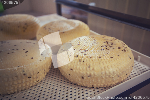 Image of aging cheese heads