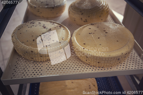 Image of aging cheese heads