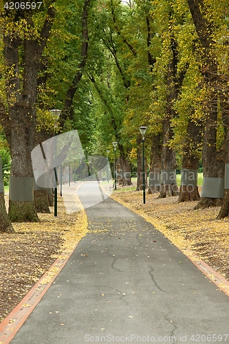 Image of Green park with trees