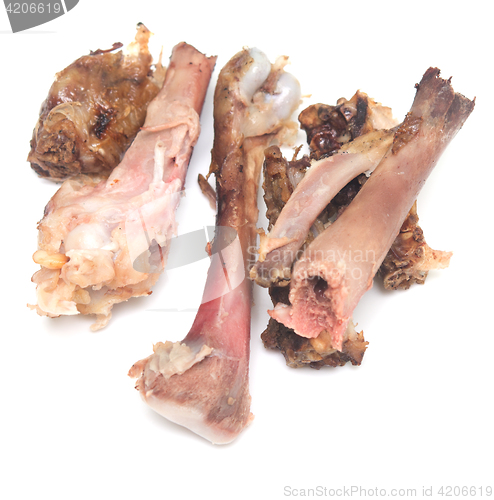 Image of chicken bones