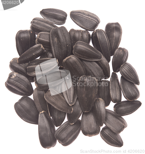 Image of sunflower seeds