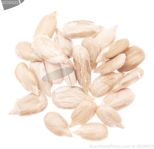 Image of sunflower seeds