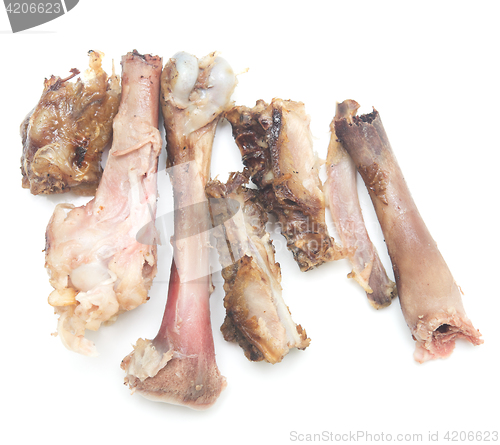 Image of chicken bones