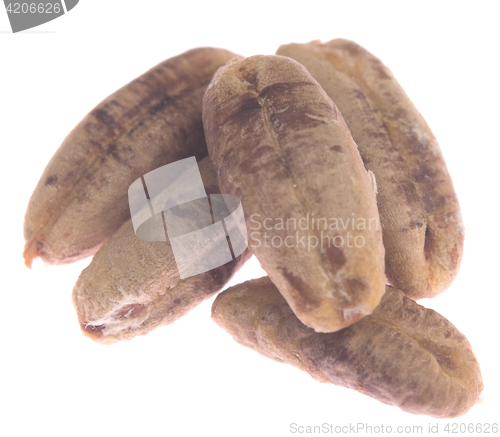Image of date bones