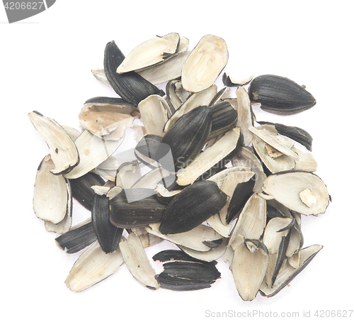 Image of sunflower husks