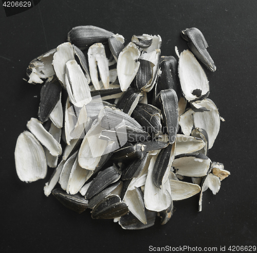 Image of husk of sunflower seeds